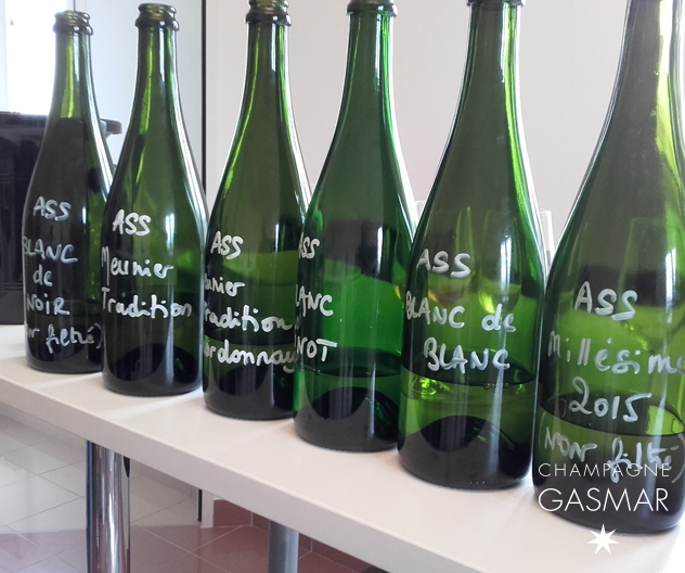 Dégustation des vins clairs de la vendange 2015.